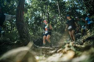 BIB: 
                            <button type="button" onclick="openModal(25983996)" class="btn btn-primary btn-sm float-right btn-popup" data-toggle="modal" data-target=".modal-high-quality">
                        <i class="fas fa-shopping-cart"></i> Add to Cart
                    </button>
                                            <button type="button" onclick="isThisMe(25983996, true)" class="btn btn-success btn-sm float-right btn-popup btn-isme hidden" data-toggle="tooltip" data-placement="bottom" title="นี่คือรูปของคุณใช่ไหม คลิกที่นี่เพื่อเอาเข้าอัลบั้ม">
                        <i class="fas fa-plus"></i> Add to album
                    </button>
                    <button type="button" onclick="isThisMe(25983996, false)" class="btn btn-warning btn-sm float-right btn-popup btn-isnotme hidden">
                        <i class="fas fa-ban"></i> Remove from album
                    </button>